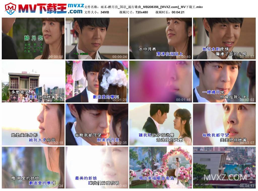 雨禾-醉月亮_国语_流行歌曲_MB208356